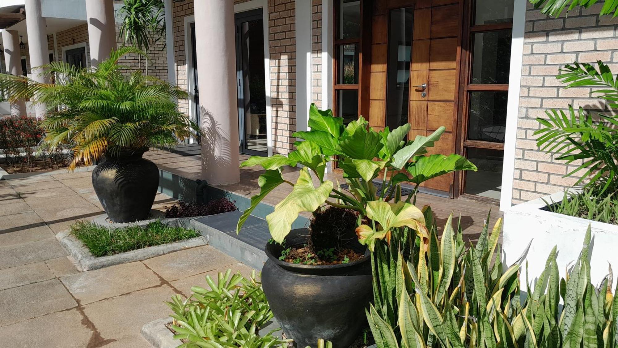 Isla Holiday Home Anse Royale Exterior foto